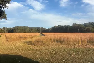 3075 Benny Lineberry Rd, Climax, NC 27233 - Photo 1