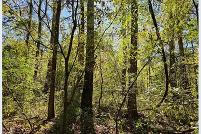 460 Mr Henry Road, Mocksville, NC 27028 - Photo 7