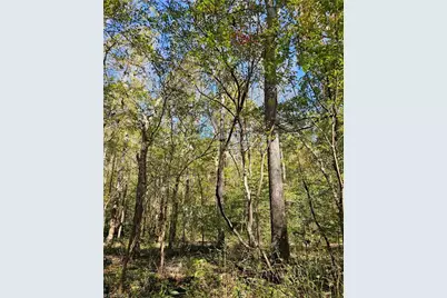 460 Mr Henry Road, Mocksville, NC 27028 - Photo 3