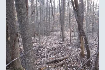 2973 Creek Point Place, Graham, NC 27253 - Photo 5