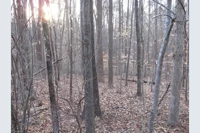 2973 Creek Point Place, Graham, NC 27253 - Photo 3