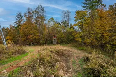 Tbd Billings Hill Church Road, Traphill, NC 28685 - Photo 5