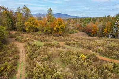 Tbd Billings Hill Church Road, Traphill, NC 28685 - Photo 11