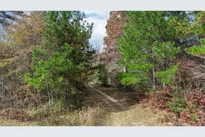 898 Sandy Cross Road, Reidsville, NC 27320 - Photo 1