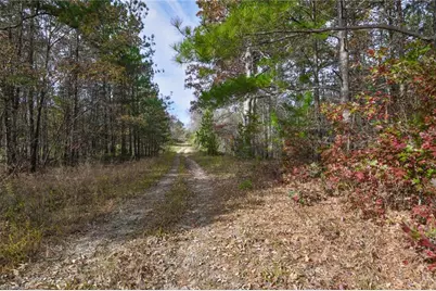 898 Sandy Cross Road, Reidsville, NC 27320 - Photo 3