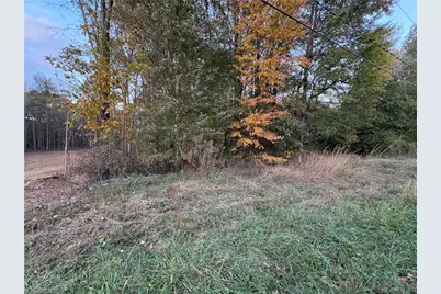0 Davis Country Road, Randleman, NC 27317 - Photo 1
