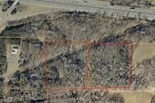 1305 Piney Grove Rd, Whitsett, NC 27377 - Photo 3