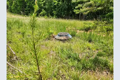 1305 Piney Grove Road, Whitsett, NC 27377 - Photo 5