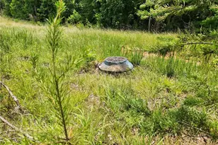 1305 Piney Grove Rd, Whitsett, NC 27377 - Photo 5