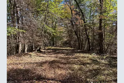 2547 Wiles Ridge Road, Hays, NC 28635 - Photo 23