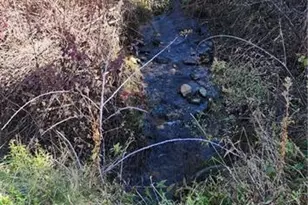 195 Old Barrett Rd, Ennice, NC 28623 - Photo 27