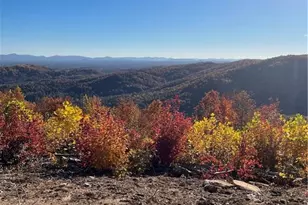 Lot 65 and 66 Widow Mountain Dr, McGrady, NC 28659 - Photo 1