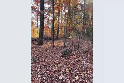 Lot 65 and 66 Widow Mountain Drive, McGrady, NC 28659 - Photo 5