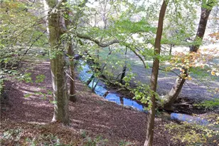 1270 Holder Acres Trail, Lewisville, NC 27023 - Photo 43