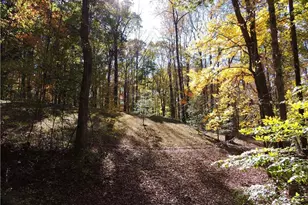 1270 Holder Acres Trail, Lewisville, NC 27023 - Photo 45