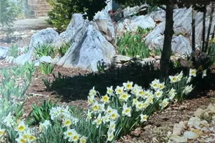 855 Lee St, Asheboro, NC 27203 - Photo 33