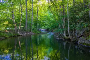 4690 3 Top Rd, Creston, NC 28615 - Photo 41