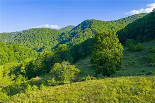 4690 3 Top Rd, Creston, NC 28615 - Photo 31