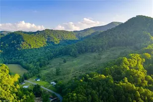 4690 3 Top Rd, Creston, NC 28615 - Photo 49