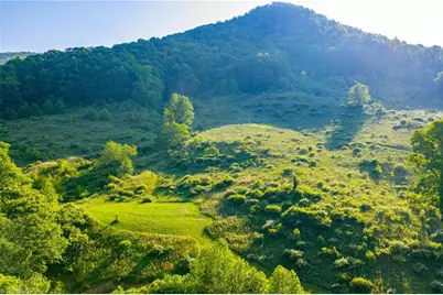 4690 Three Top Road, Creston, NC 28615 - Photo 25