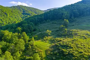 4690 3 Top Rd, Creston, NC 28615 - Photo 37