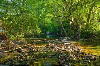 4690 Three Top Road, Creston, NC 28615 - Photo 9