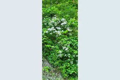 0 Carter Mountain #Lot 25, Hays, NC 28635 - Photo 3