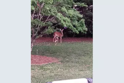 2818 Bridgeport Drive, Winston-Salem, NC 27103 - Photo 37