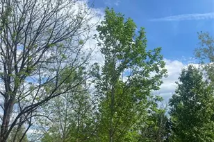 5445 Congo Rd, North Wilkesboro, NC 28659 - Photo 19