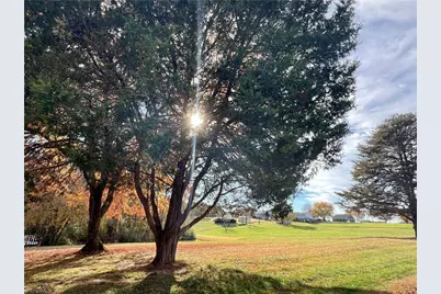 292 Briarlea Drive, Ronda, NC 28670 - Photo 9