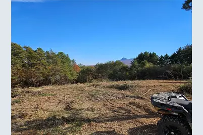 00 Whitaker Chapel Road #10, Pilot Mountain, NC 27041 - Photo 3