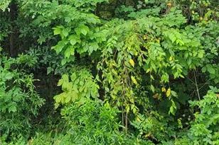 0 Ambridge Dr, Kernersville, NC 27284 - Photo 1