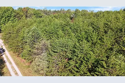 2 0 Beasley School Road, Sandy Ridge, NC 27405 - Photo 7