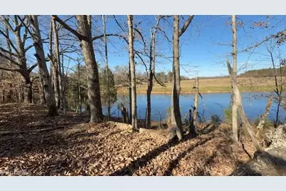 8413 Fairgrove Church Road, Browns Summit, NC 27214 - Photo 3