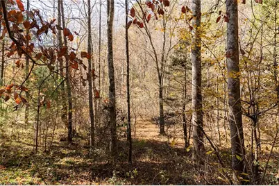 000 Antler Drive, McGrady, NC 28649 - Photo 17