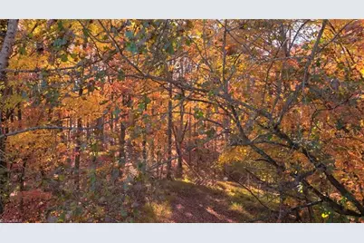 0 Old Hollow Road, Winston-Salem, NC 27105 - Photo 3