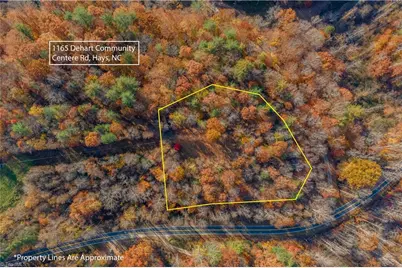 1165 Dehart Community Ctr Road, Hays, NC 28635 - Photo 13