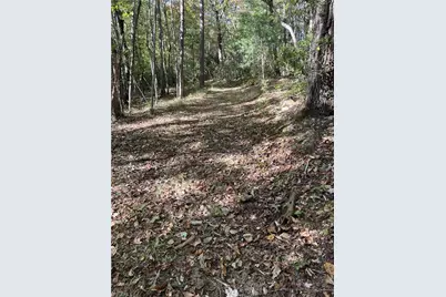 0000 Royall Road, Thurmond, NC 28683 - Photo 3