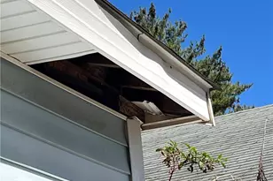 3014 Gilbert St, Winston-Salem, NC 27107 - Photo 31