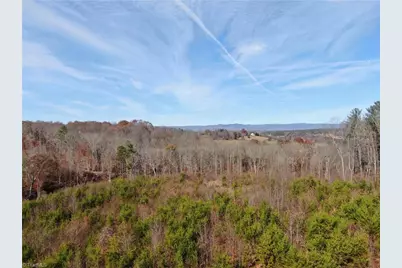 Tbd Doris Avenue #38.7 Acres, Mount Airy, NC 27030 - Photo 13