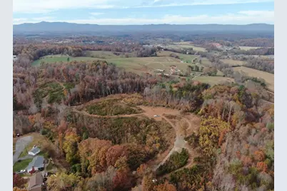 Tbd Doris Avenue #38.7 Acres, Mount Airy, NC 27030 - Photo 7