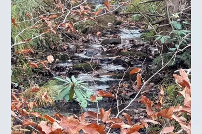 Tbd Doris Avenue #38.7 Acres, Mount Airy, NC 27030 - Photo 9