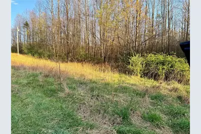 9076 Alleghany Lane, Pilot Mountain, NC 27041 - Photo 3
