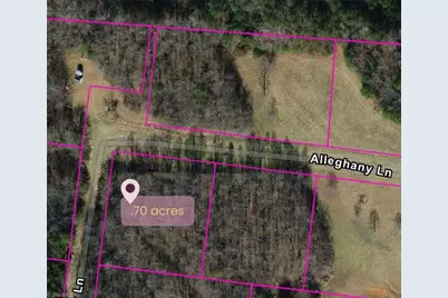 9076 Alleghany Lane, Pilot Mountain, NC 27041 - Photo 1