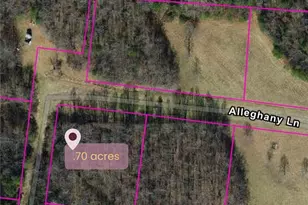 9076 Alleghany Ln, Pilot Mountain, NC 27041 - Photo 1