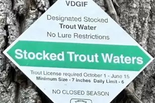 3199 Kibler Valley Rd, Ararat, VA 24053 - Photo 5