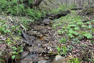 3199 Kibler Valley Rd, Ararat, VA 24053 - Photo 11