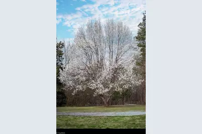 8717 Allison Road, Cedar Grove, NC 27231 - Photo 47