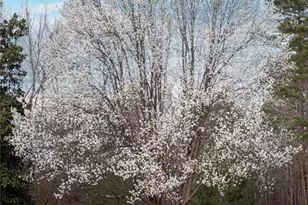 8717 Allison Rd, Cedar Grove, NC 27231 - Photo 47