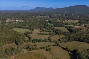 1520 Brims Grove Rd, Pinnacle, NC 27043 - Photo 43